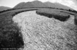 Spanish Fork Cropcircle © 2004 UUFOH