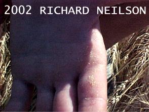© 2002-2005 RICHARD NEILSON